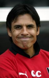 Fulham manager Chris Coleman 