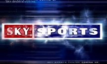 Fulham defender/midfielder Martin Djetou