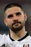 Fulham striker Aleksandar Mitrovic