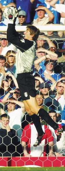Fulham keeper Edwin van der Sar
