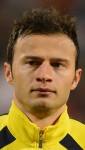 Fulham defender Elsad Zverotic