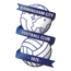 Team Badge