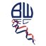 Team Badge
