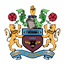 Team Badge