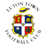 Team Badge