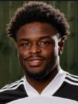 Fulham striker Josh Maja